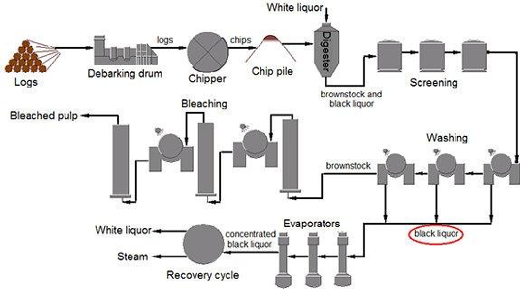 <p>main processes at a pulping mill (detailed)</p>