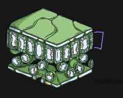 <p>what is this part of the leaf called and what is its function?</p>