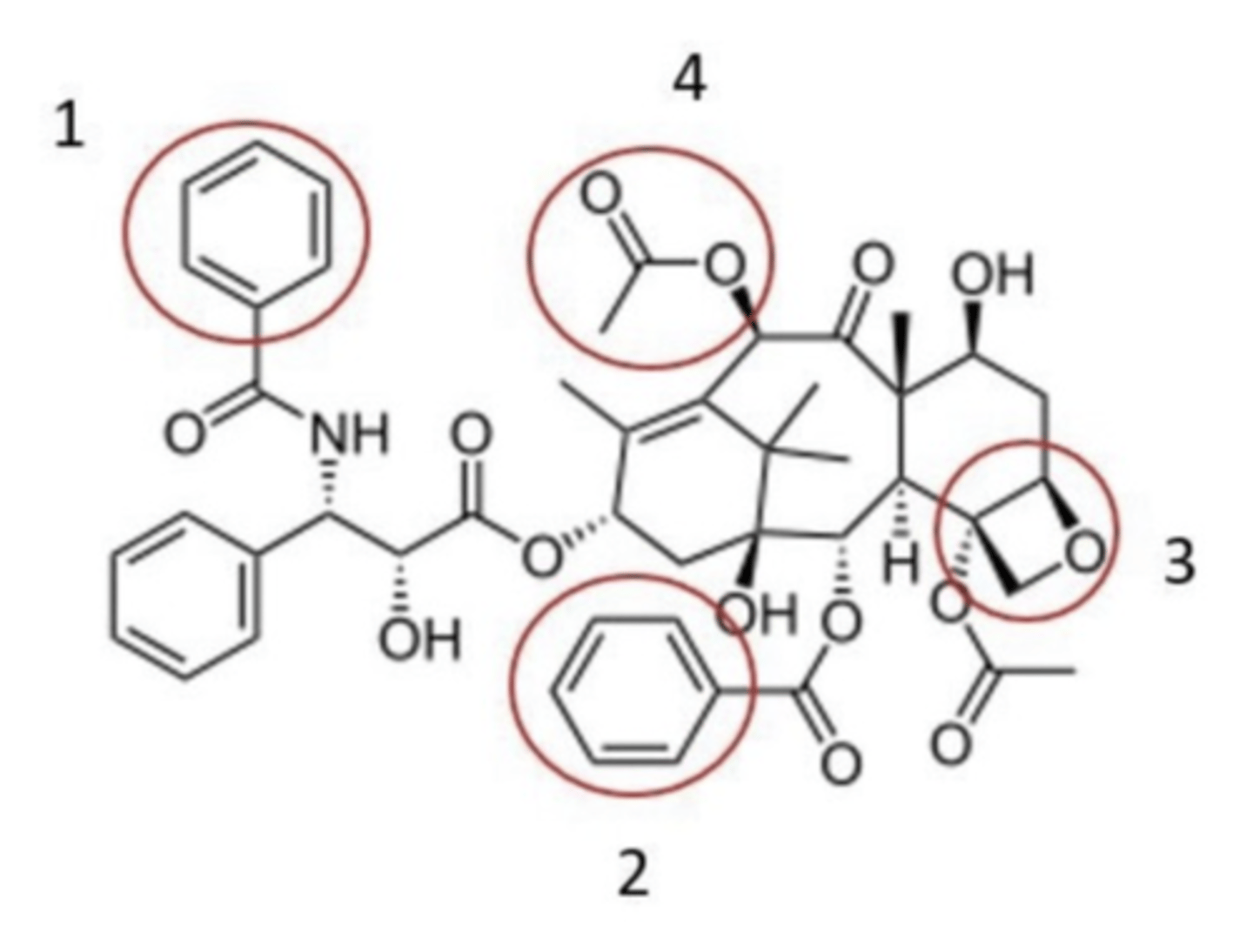 <p>Which region of paclitaxel is responsible for its description as a taxane mitosis inhibitor?</p>
