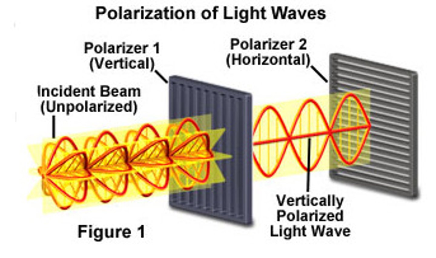 <p>Plane-polarized light has all of its waves are oriented in the same direction while unpolarized light has waves oriented in all directions.</p>