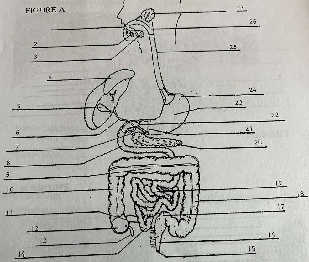 <p>what is 14</p>