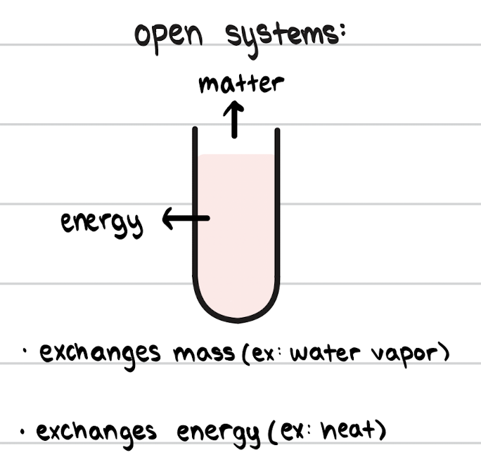 <p>Exchanges both mass and energy with surroundings.</p>