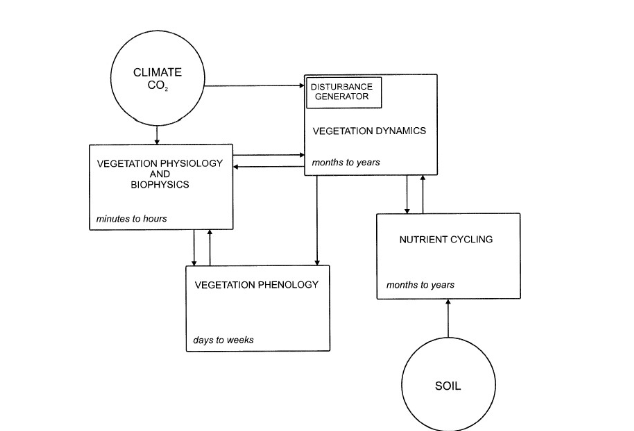 <ul><li><p><span>have equations at their root</span></p></li><li><p><span>e.g. stomatal variation affects evaporation, temperature</span></p></li></ul><p></p>