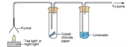 <p>How can we detect the products of complete combustion of hydrocarbon fuels/ alkanes?</p>