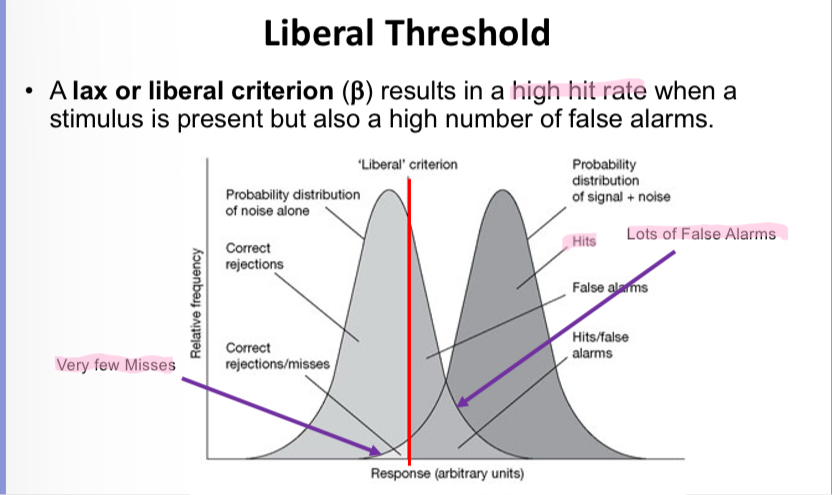 <p>Explain the graph</p>