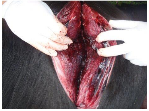 <p>What is this?</p>