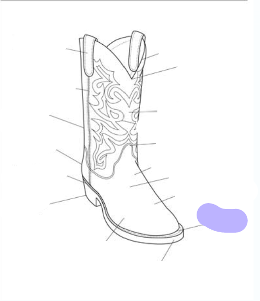 <p>What part of the boot is this? (labeled in purple)</p>