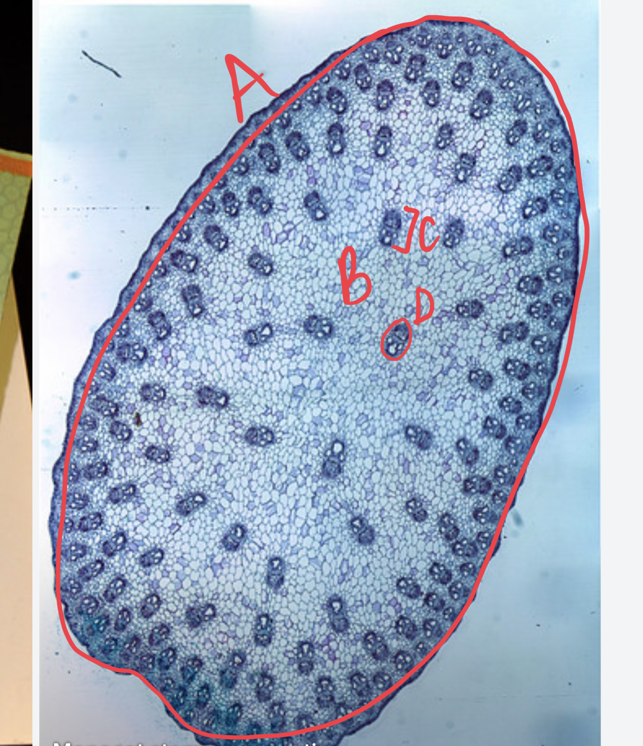 <ul><li><p>what is this?</p></li><li><p>label slide</p></li></ul>