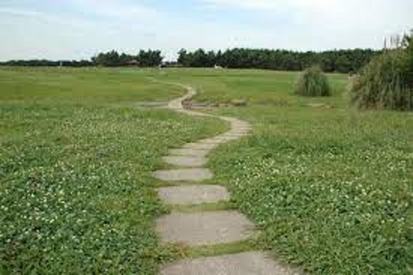 <p>khúc đường cong</p>