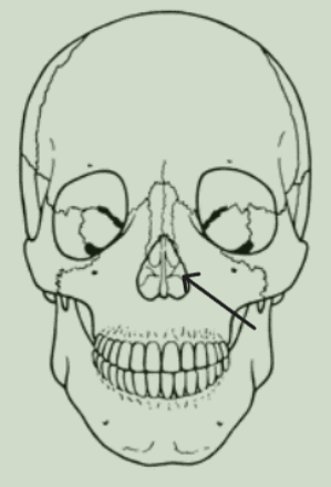 <img src="https://knowt-user-attachments.s3.amazonaws.com/d2b94bd6-8bf0-4497-a094-489bacc7757b.png" data-width="25%" data-align="center"><p></p>