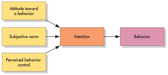 The theory that attitudes toward a specific behavior combine with subjective norms and perceived control to influence a person’s actions.