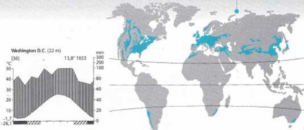 <p><span>Forêts feuillues caducifoliées</span></p>