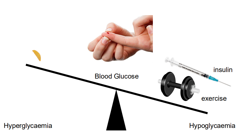 <p>- we have to balance the amount of carbohydrate we consume vs how much insulin we inject</p>