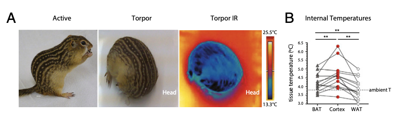 <p>What does this figure show?</p>