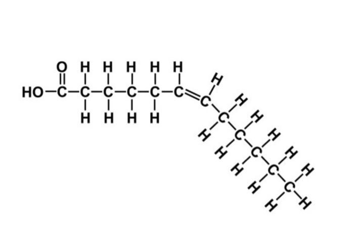 <ul><li><p>double bonds</p></li><li><p>mostly plant fats</p></li></ul><p></p>