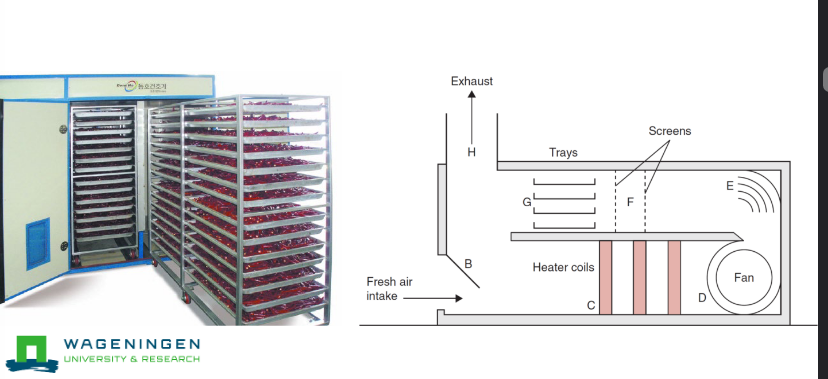<ul><li><p>Allows for larger products</p></li><li><p>Longer drying times</p></li><li><p>e.g. raisins, dates, plums, figs, apricots</p></li></ul><p></p>