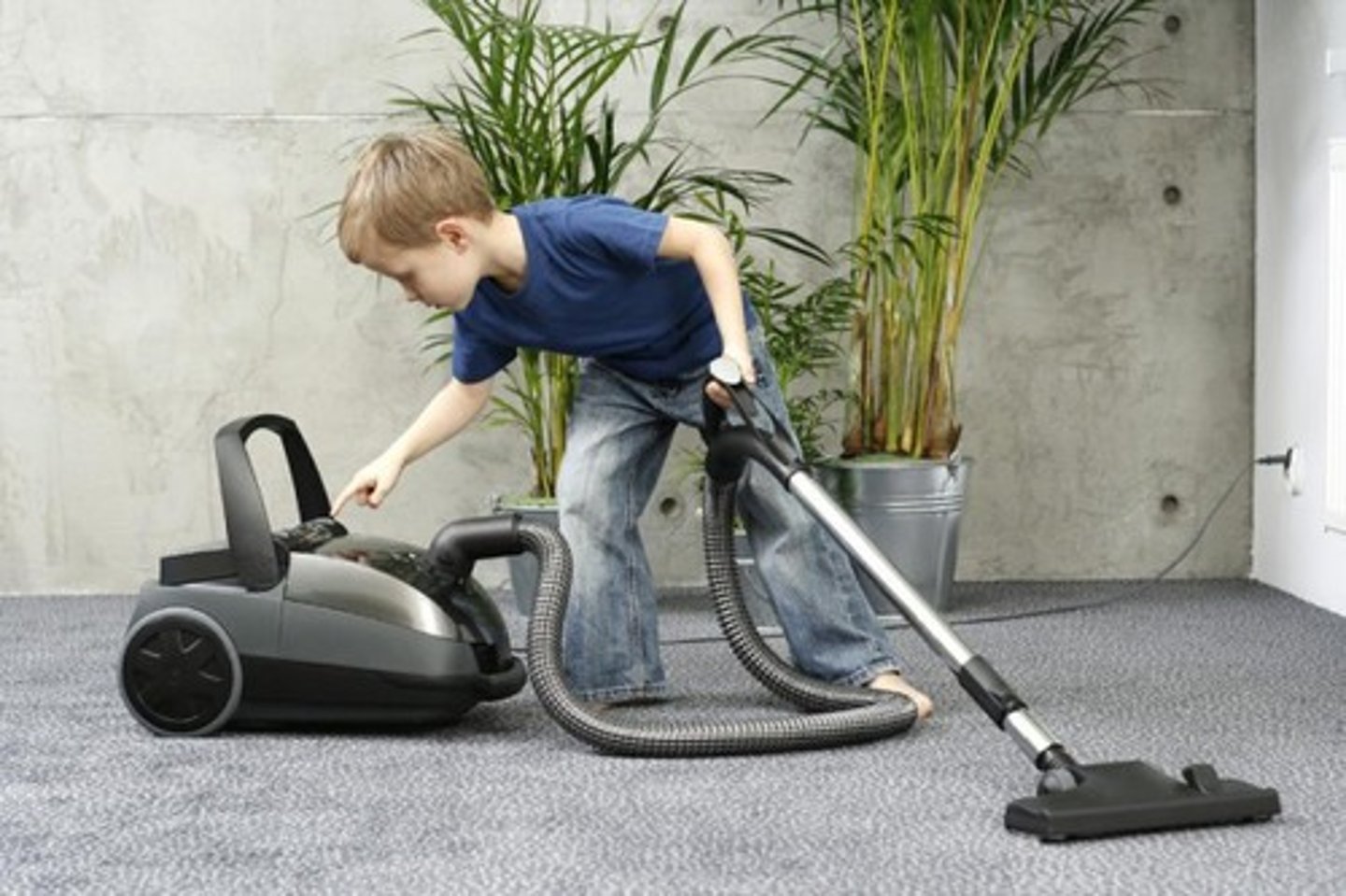<p>vacuum the room</p>