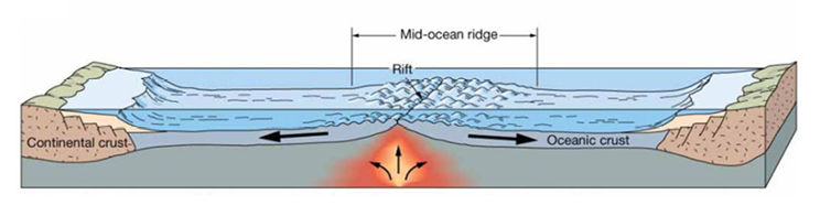 <p>result of divergence: bigger body of water, can fit together but not perfectly </p>