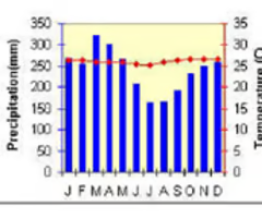 <p>consistent climate all year round.<br />
very wet with over 2000mm of rainfall per year. very warm with an average daily temperature of 28C.</p>