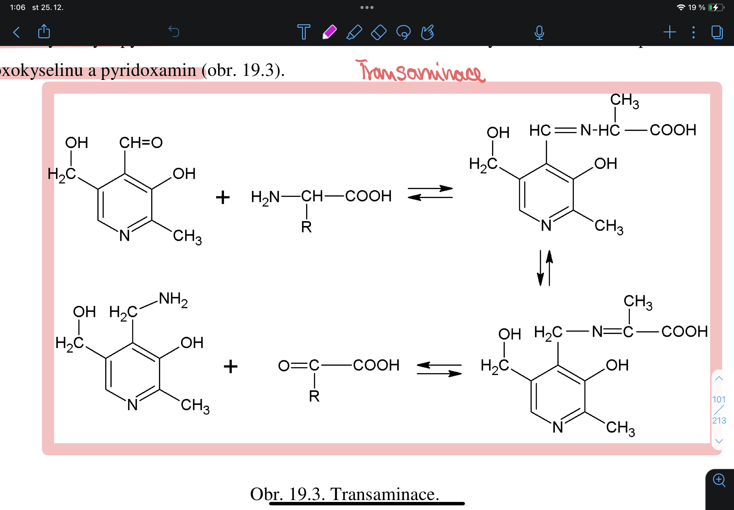 knowt flashcard image