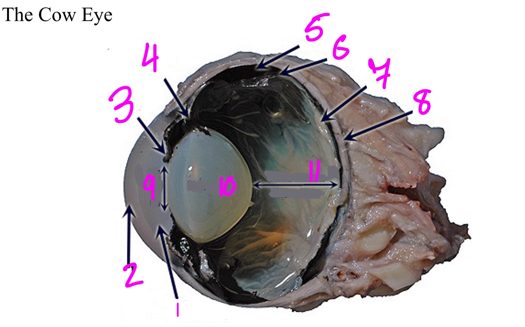 <ol><li><p></p></li><li><p></p></li><li><p></p></li><li><p></p></li><li><p></p></li><li><p></p></li><li><p></p></li><li><p></p></li><li><p></p></li><li><p></p></li><li><p></p></li></ol>