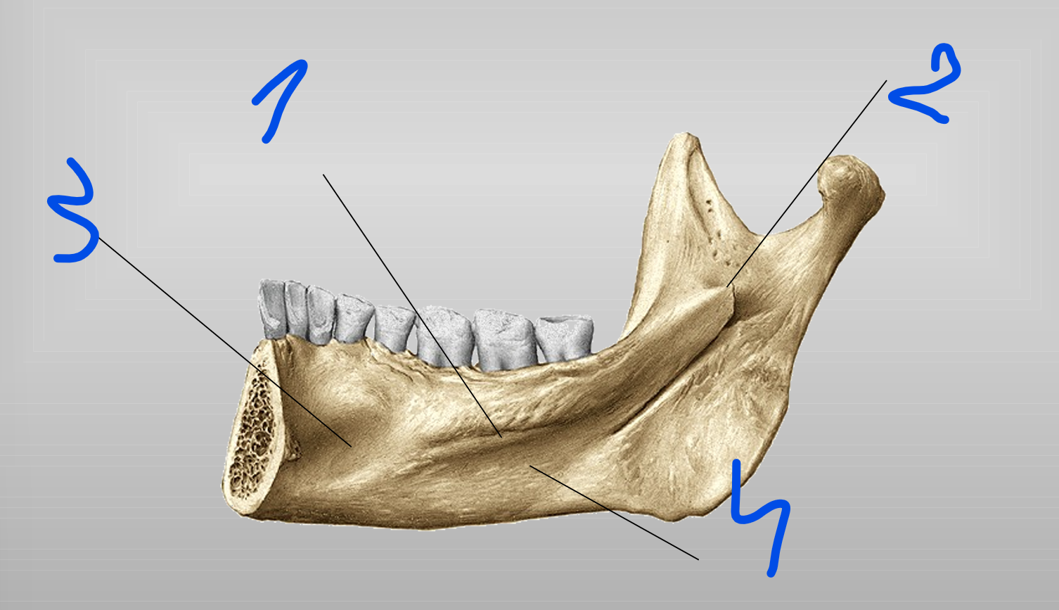 <p>2</p>