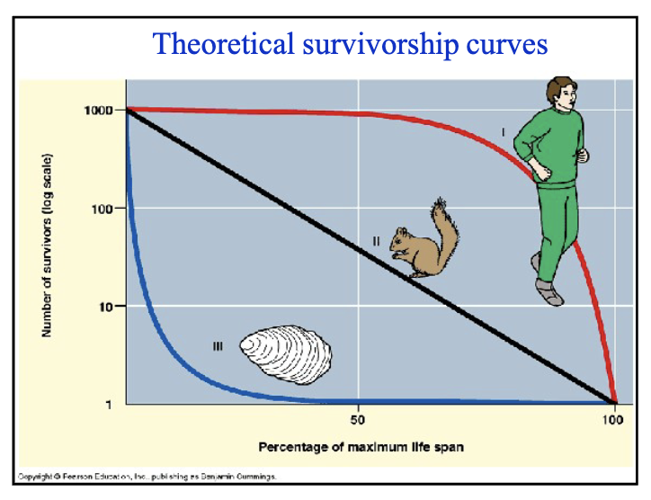 Survivorship curves