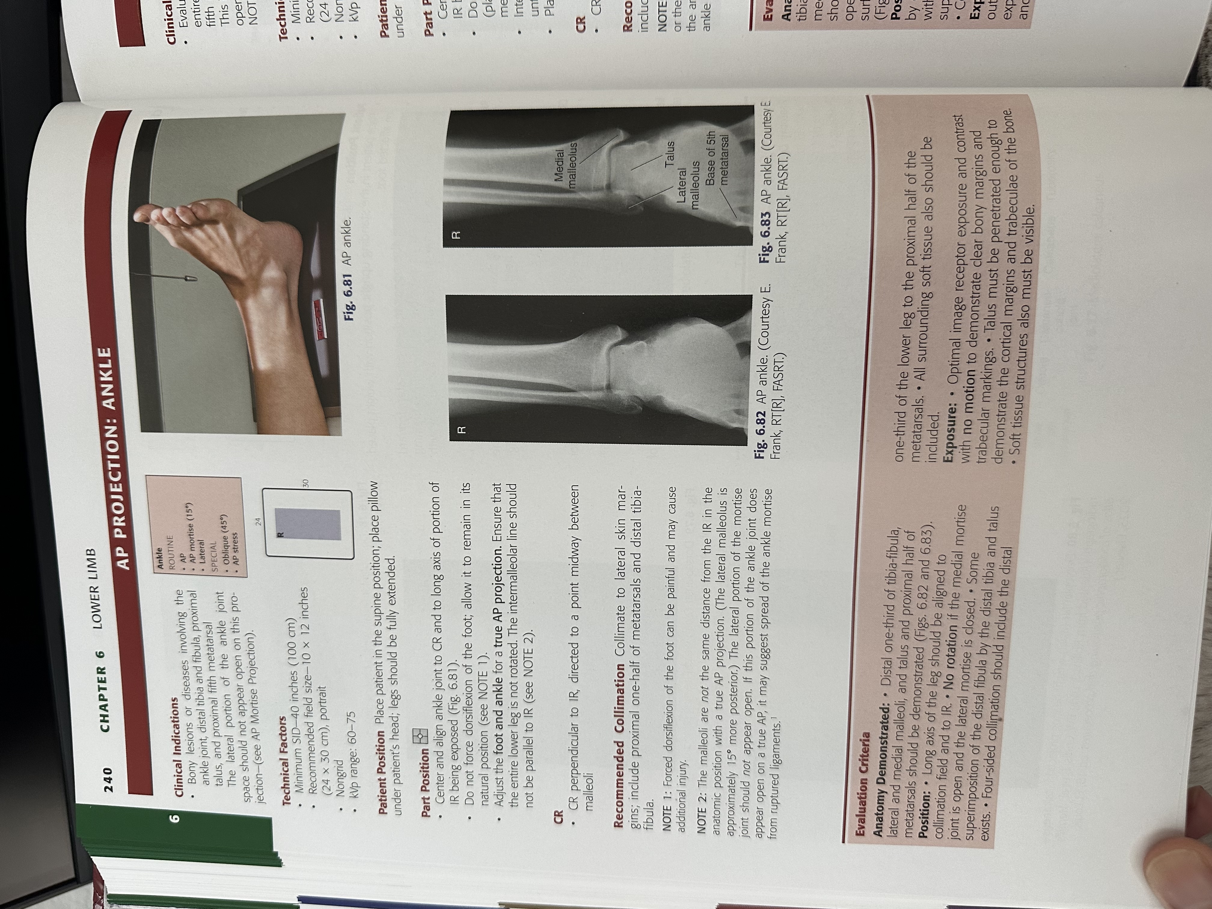 knowt flashcard image