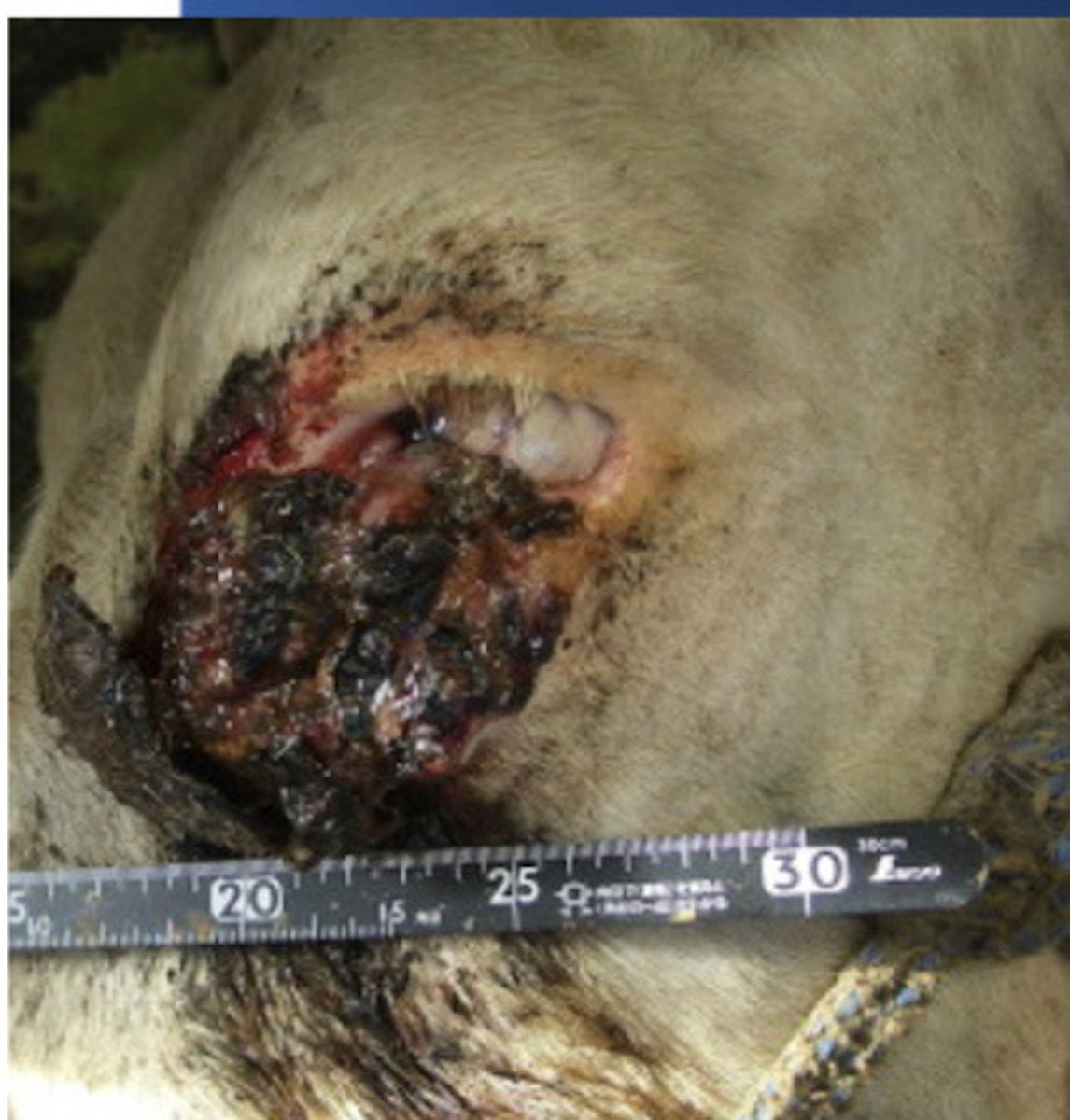 <p>What is happening here?</p>