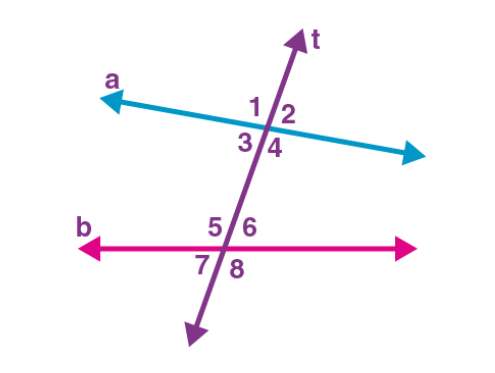 <p>Same Side Interior Angles </p>