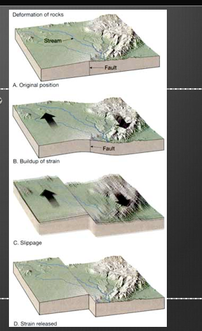 <p><span><span>Deformation stores elastic energy</span></span></p><p><span><span>Frictional resistance is overcome</span></span></p><p><span><span>Slippage at weak point (focus)</span></span></p><p><span><span>Displacement creates stress farther along the fault where more slip will occur to release the built up strain.</span></span></p>
