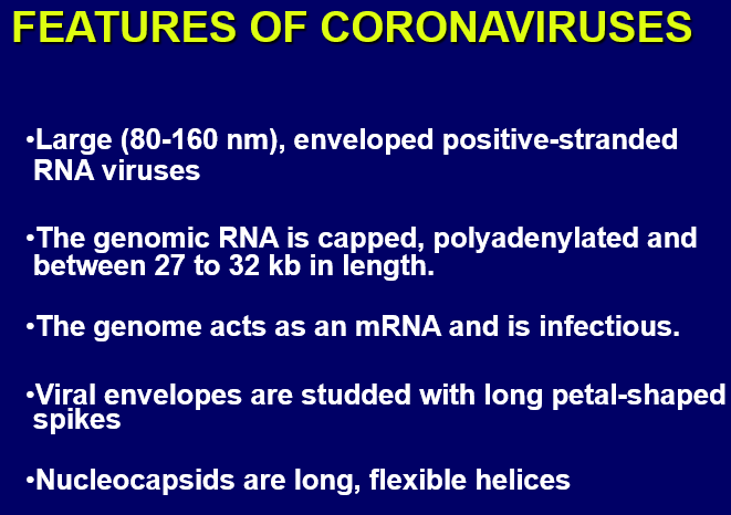 \-enveloped

\-single-stranded,

\-non-segmented RNA viruses

\-Genomic RNA is capped (contrast with picorna)

\-genome acts as an mRNA and is infectious (positive-strand RNA)

\-spike protein = viral attachment protein