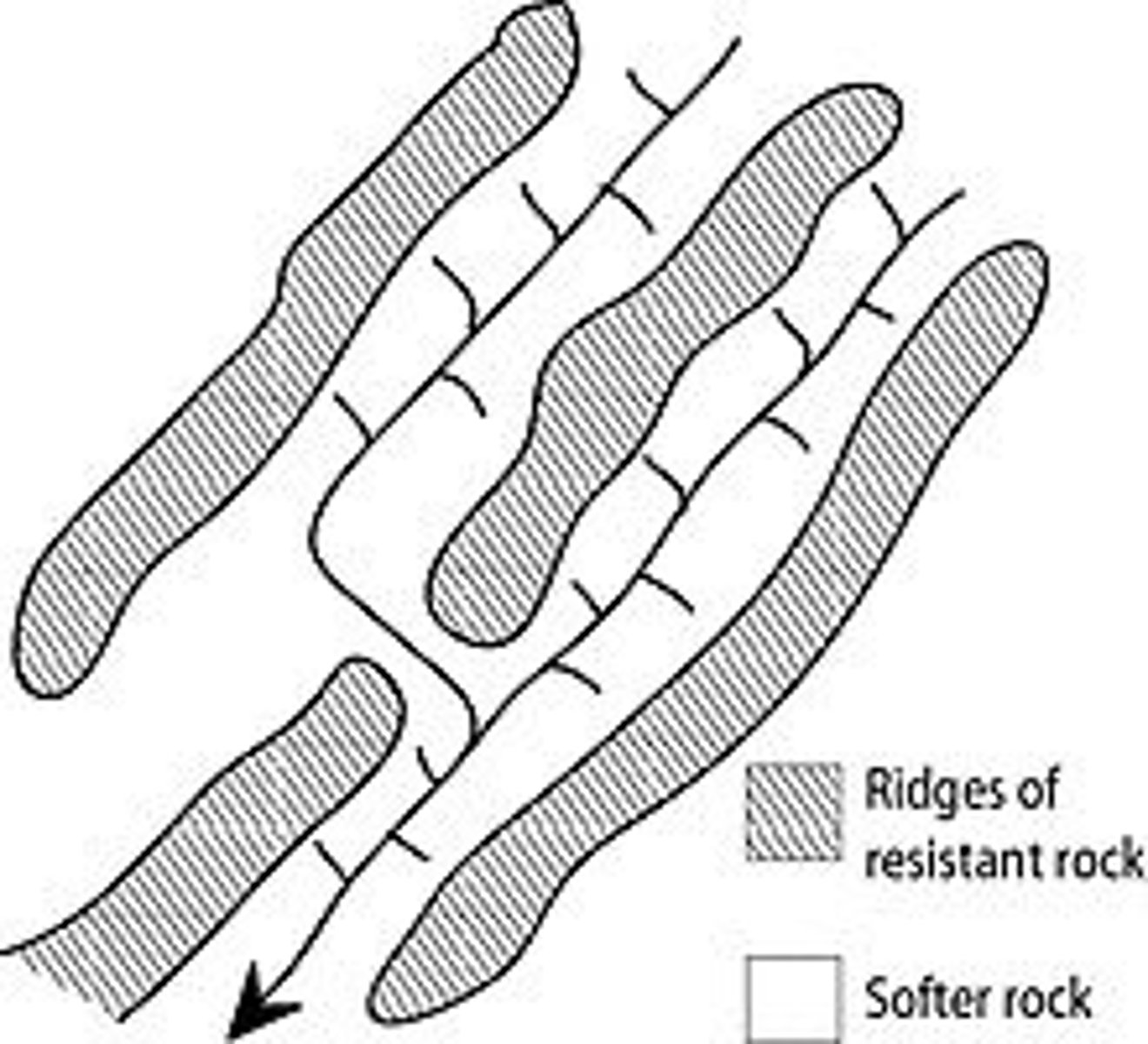 <p>The geometry of a trellis drainage system is similar to that of a common garden trellis used to grow vines. As the river flows along a strike valley, smaller tributaries feed into it from the steep slopes on the sides of mountains</p><p>Trellis drainage is characteristic of folded mountains, such as the Appalachian Mountains in North America and in the north part of Trinidad</p>