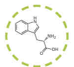 <p>What amino acid is this?</p>