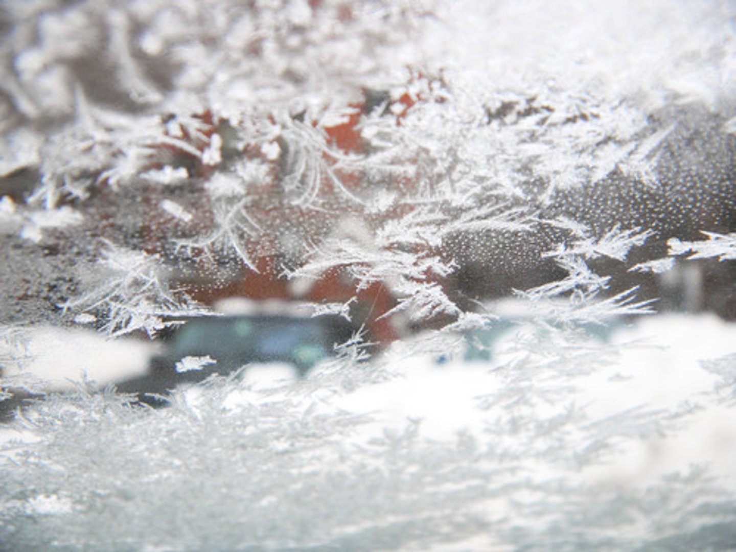 <p>extracellular fluid begins to freeze first because of its higher water content</p><p>=> formation of ice crystals in the extracellular space => hypertonic shift (draws water out of cells => edema)</p>