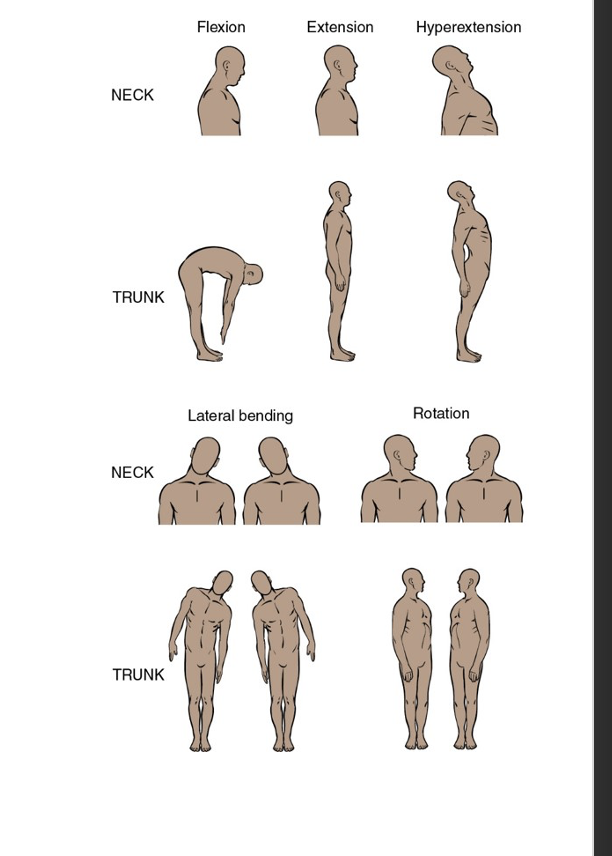 <p><span><span>Vertebral column is triaxial and includes motions of the neck and trunk</span></span> </p>