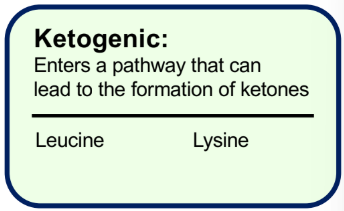 <p>Ketogenic</p>