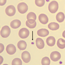 <p>What is this?</p>