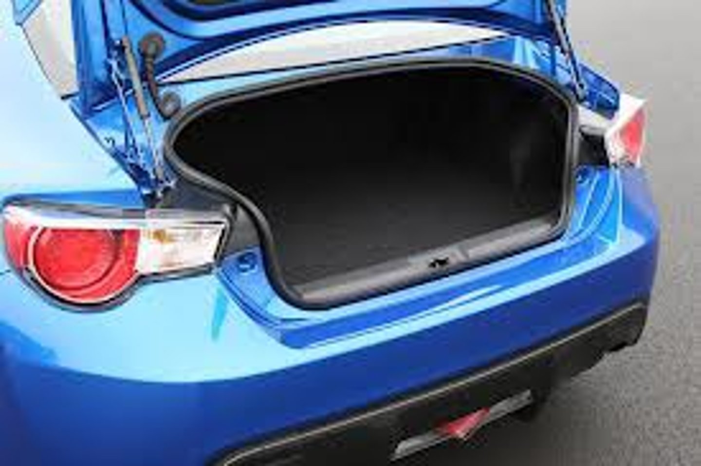 <p>the trunk</p>