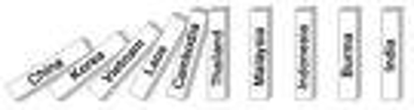 <p>fear that after China "fell" to communism that all other surrounding Asian countries would "fall" like dominoes</p>