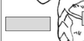 <p>What is the name of this?</p>