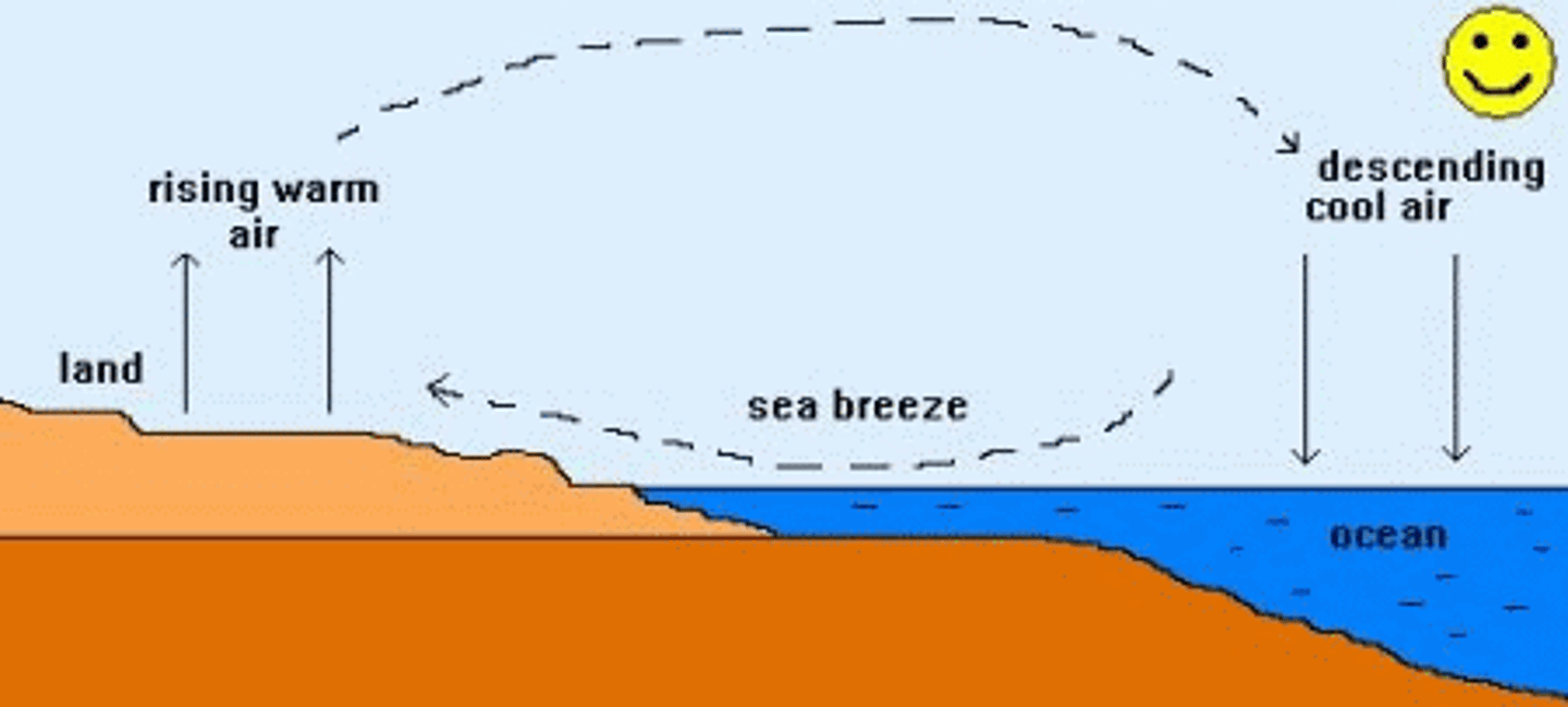 <p>This wind happens during the day when cooler air over the ocean flows toward warmer air over land.</p>