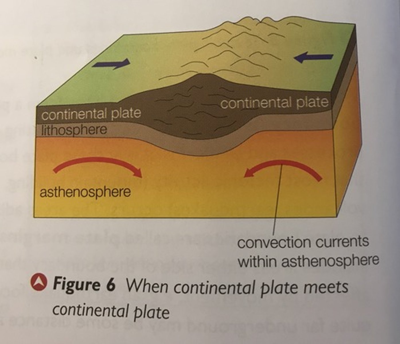 <p>collision plate boundary <br>- continental plate = less dense than the asthenosphere, will not subduct (no melting, no magma, no volcano)<br><br>continental plates collide and uplift each other, then buckles to form fold mountains, continually compressing and growing higher<br><br>e.g. the Himalayas</p>