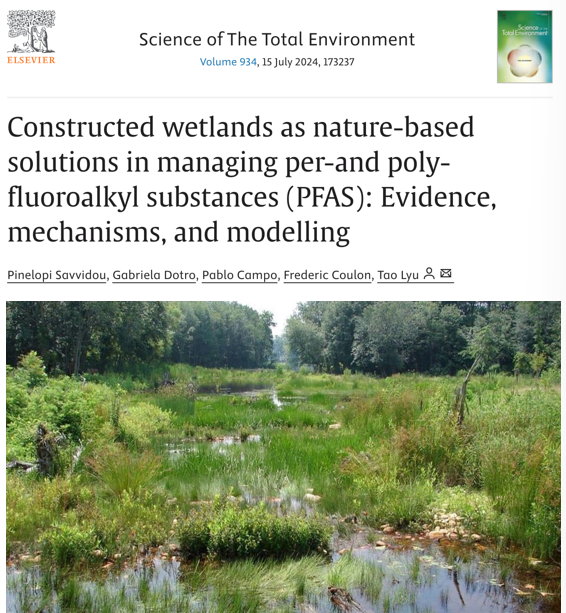 <ol><li><p>Capture technologies: Activated carbon, ion exchange resins</p></li><li><p>Destruction methods: High-temperature incineration, plasma treatment (expensive)</p></li><li><p>Nature-based solutions (early stage): Wetland attenuation, sorption into organic-rich soils</p></li><li><p>Prevention focus: Reducing use and emissions of PFAS at source</p></li></ol><p></p>