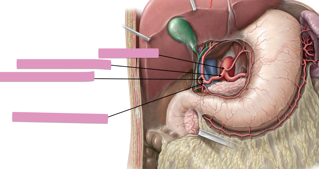 <p>Fill in the blank </p>