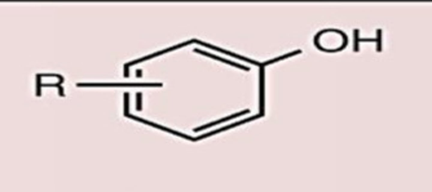 <p>Conj. Acid</p>
