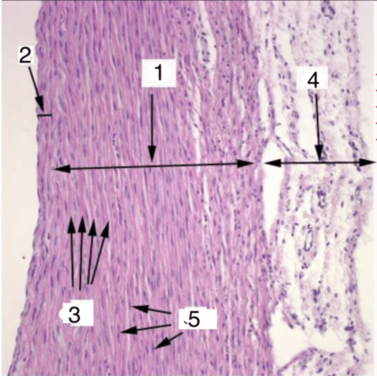 <p>what is 1?</p>