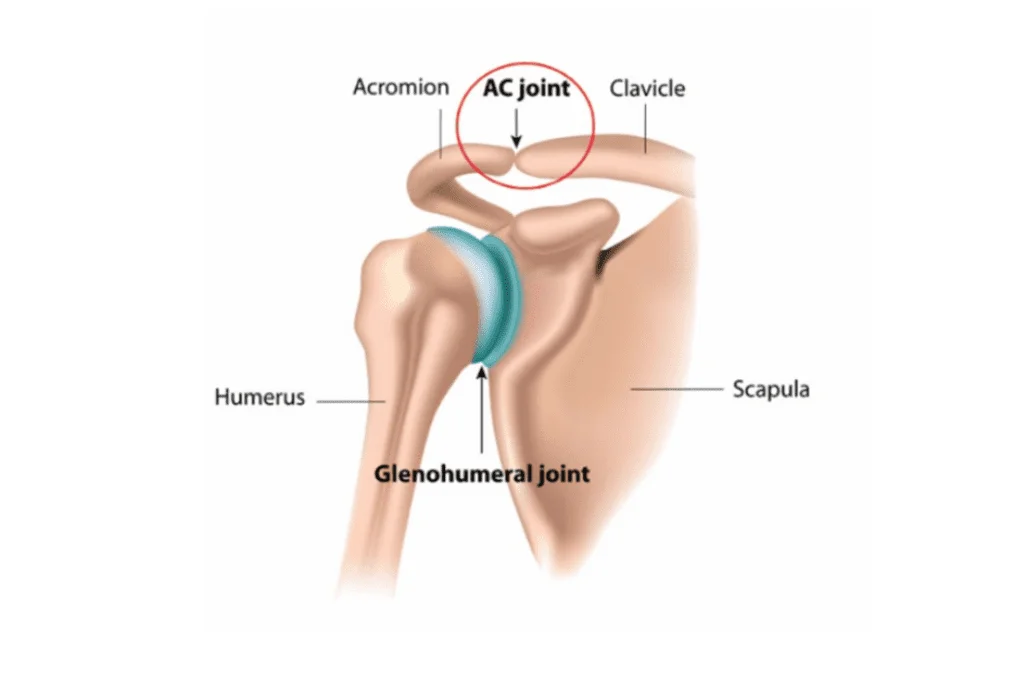 <p>accromion and clavicle meet here!</p>