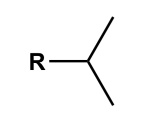 <p>An alkane with 3 carbons attached to a non hydrogen R griup</p>