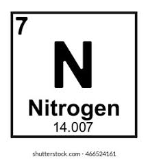 <p>Nitrogen</p>